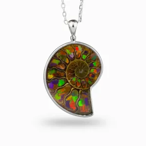 Ammolite Necklace