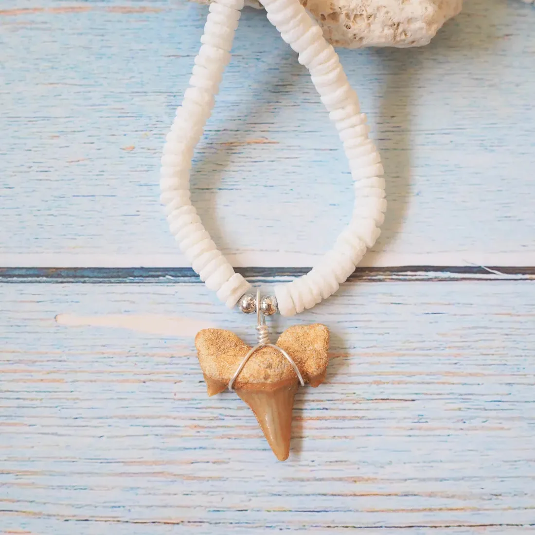 Hanalei Fossil Shark Tooth Necklace