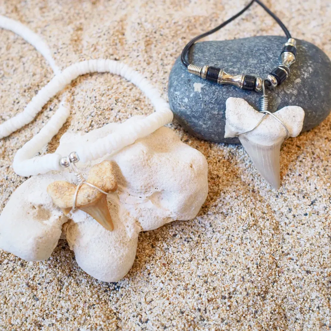 Hanalei Fossil Shark Tooth Necklace