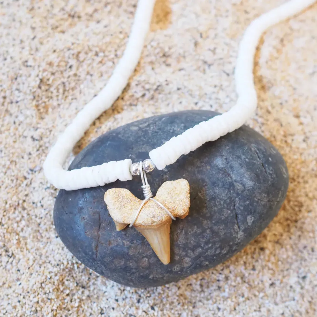 Hanalei Fossil Shark Tooth Necklace