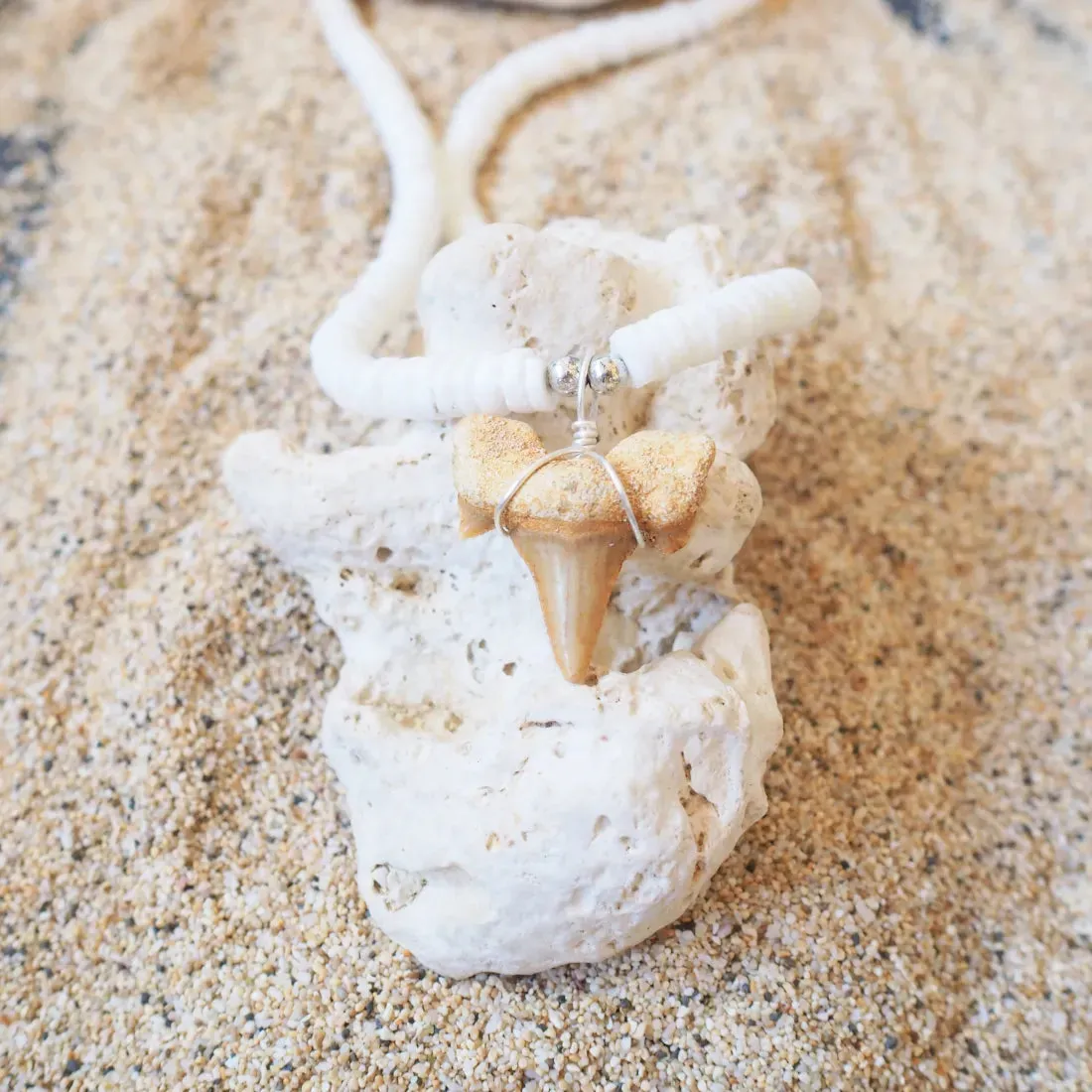 Hanalei Fossil Shark Tooth Necklace